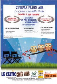 Cinéma plein air. Le samedi 5 septembre 2015 à SAINT MEEN LE GRAND. Ille-et-Vilaine. 